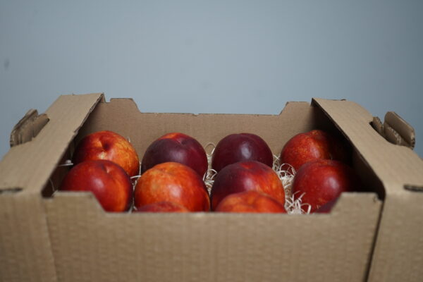 CAJA 4/5 KG DE NECTARINA