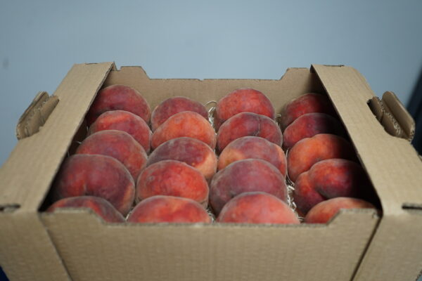 CAJA 4/5 KG PARAGUAYO