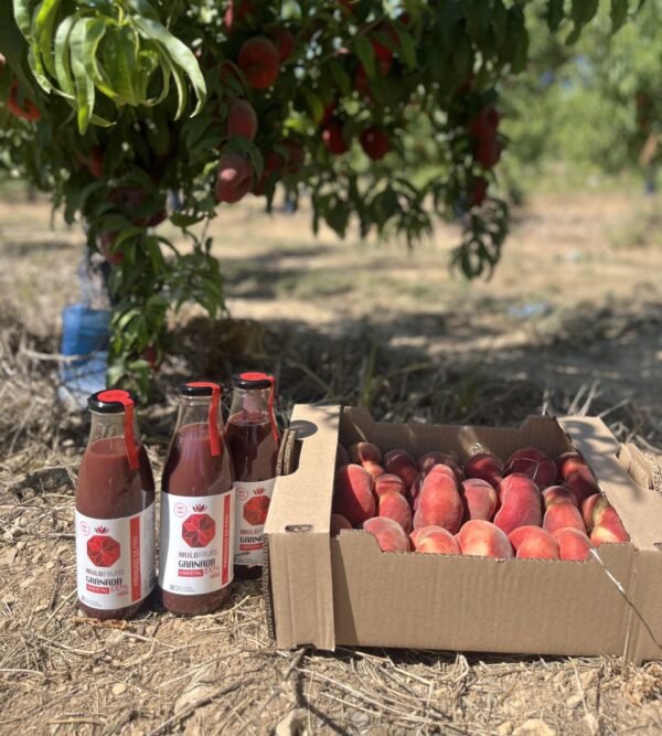 PACK ARILO FRUITS